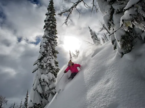 SnowSeekers dave heath