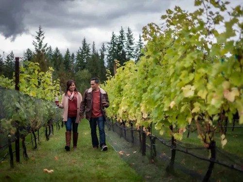 nakusp bc wine tasting dave heath