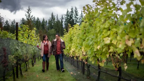 nakusp bc wine tasting dave heath